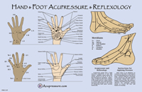 Hand and Foot Reflexology & Acupressure Chart