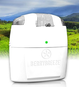 Berry Breeze Refrigerator  Freshener