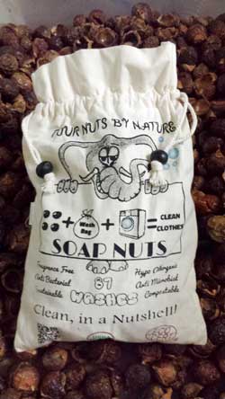 Soap Nuts Laundry Detergent Substitute