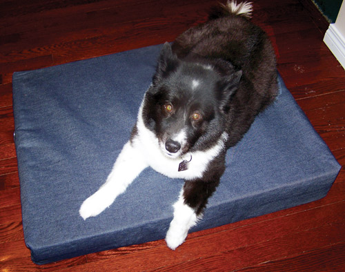 Magnetico Magnetic Pet Pads