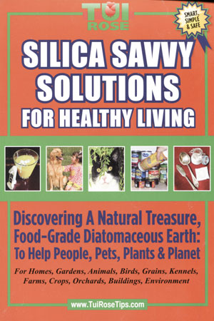 Silica-Savvy Solutions for Healthy Living 
