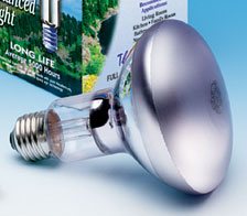 Chromalux 75 Watt Floodlight