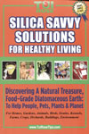Silica-Savvy Solutions for Healthy Living 